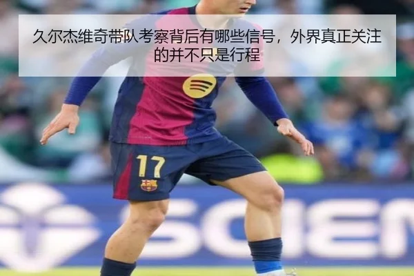 久尔杰维奇带队考察背后有哪些信号，外界真正关注的并不只是行程